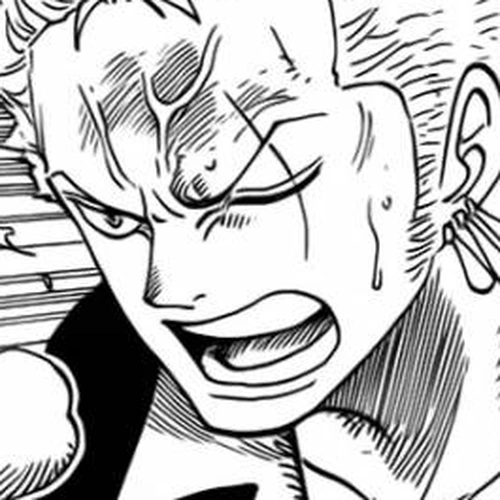 One Piece Chapter 740: It's in Your Hands!!! cover