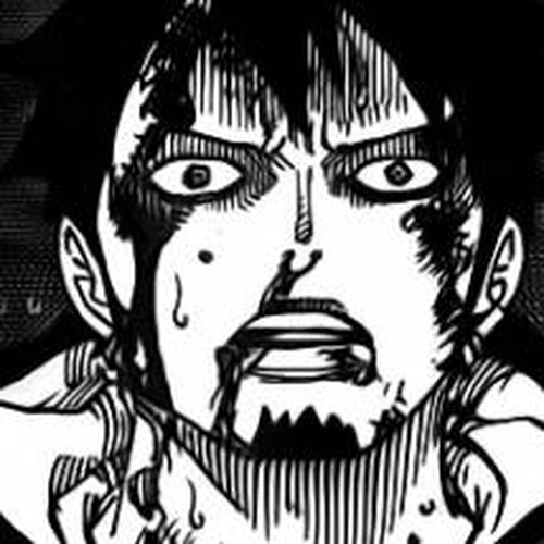 One Piece Chapter 745: The Birdcage cover