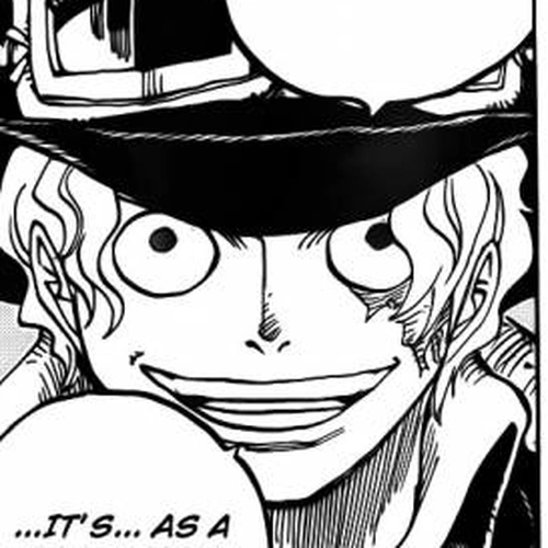 One Piece Chapter 750: The State of the War cover