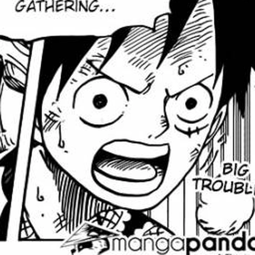 One Piece Chapter 752: Palm cover