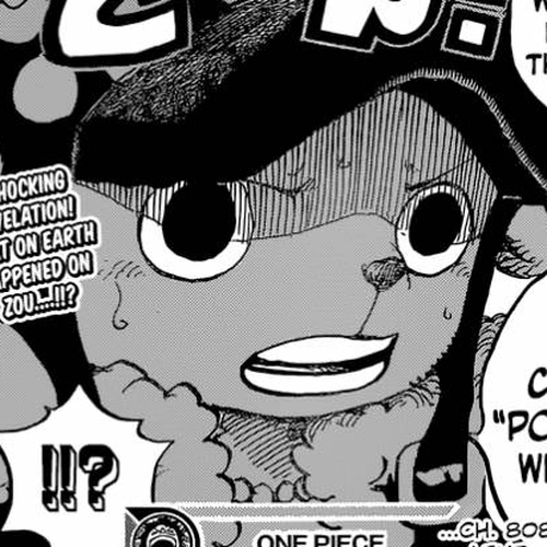 One Piece Chapter 808: Duke Inuarashi cover