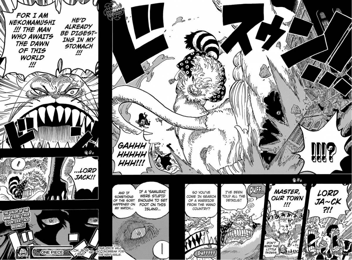One Piece Chapter 809 page 18 - Chapter 809: Master Nekomamushi