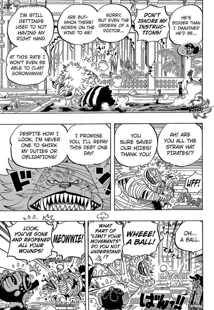 One Piece Chapter 814 page 14 - Chapter 814: Let's Go See Master Nekomamushi