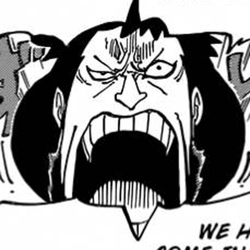 One Piece Chapter 816: Dog vs. Cat cover