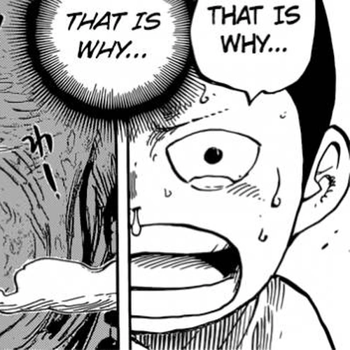 One Piece Chapter 821: Understood cover