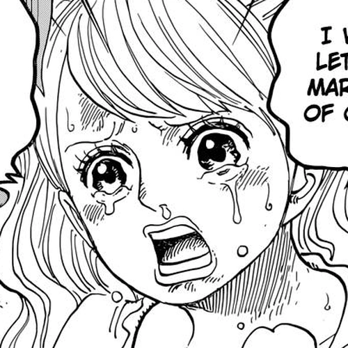 One Piece Chapter 845: Forces of Rage cover