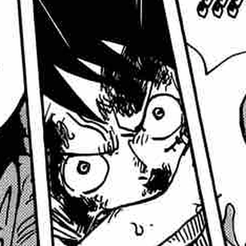 One Piece Chapter 882: Beyond the Emperor's Expectations cover
