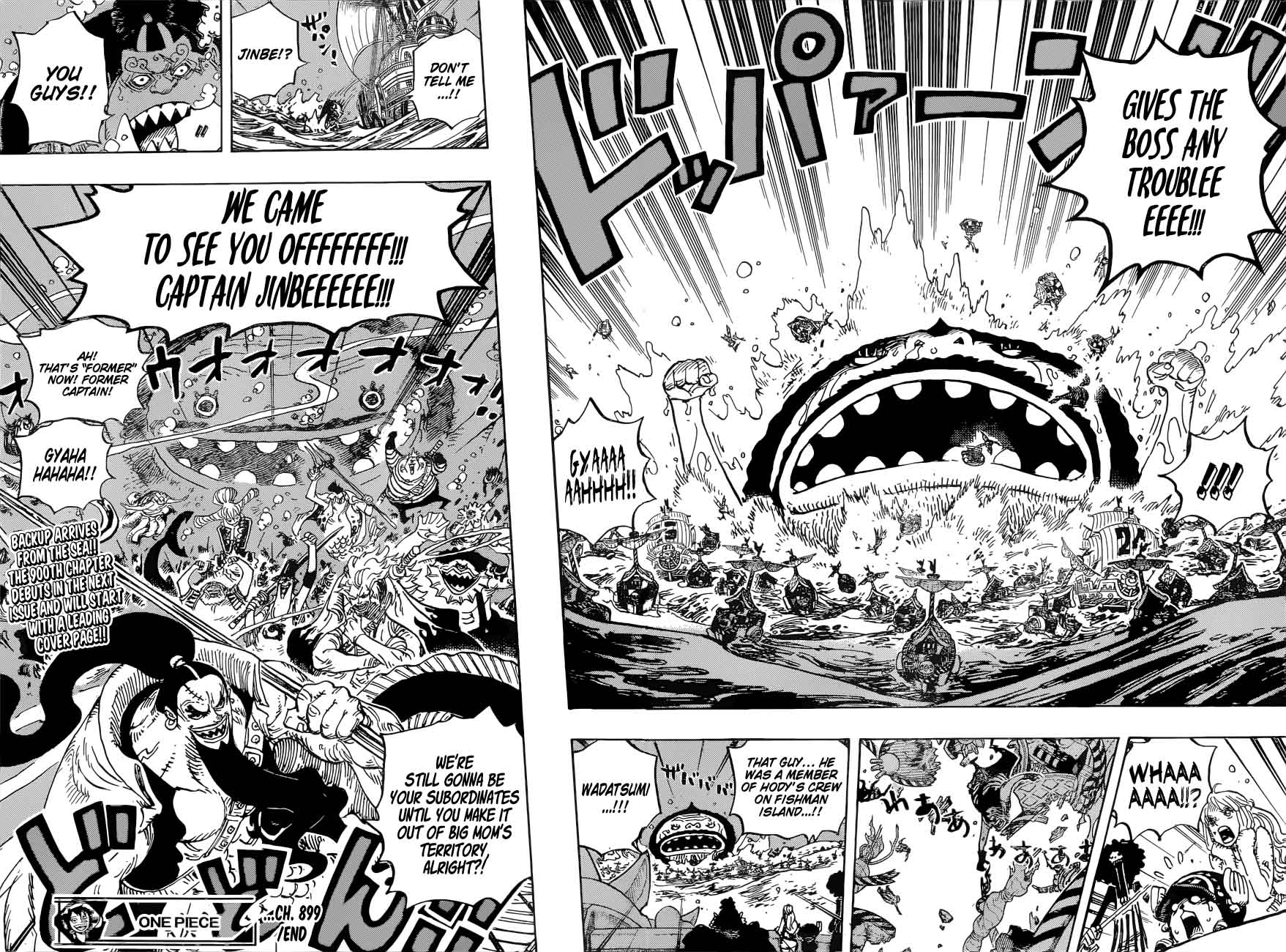 One Piece manga, chapter 899, page 17 of 20