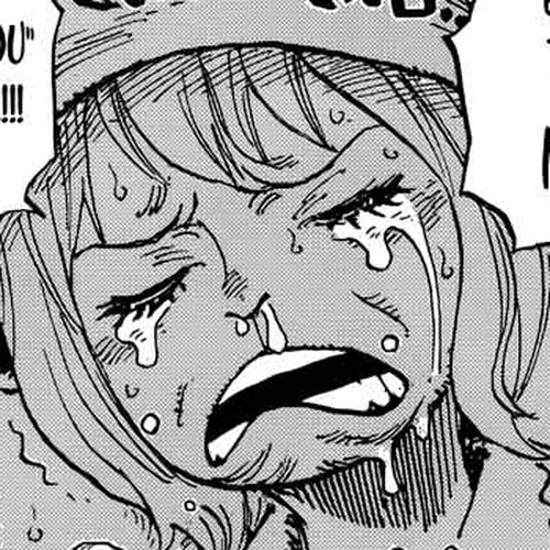 One Piece Chapter 902: End Roll cover