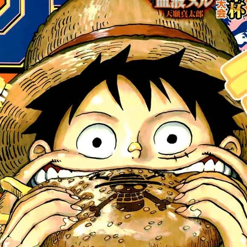 One Piece Chapter 916: Wano Country Grand Sumo Tournament cover