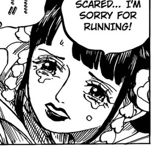 One Piece Chapter 952: Hiyori and Kawamatsu cover