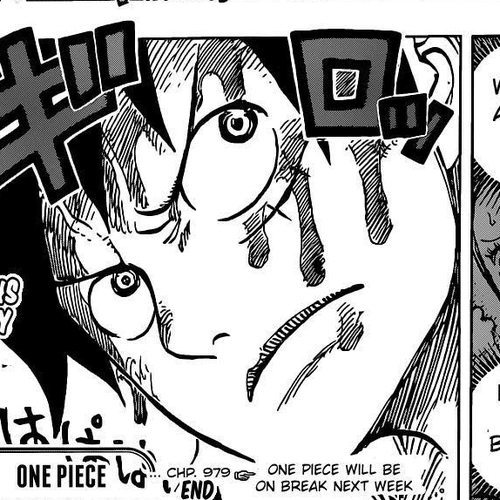 One Piece Chapter 979: Family Problem cover
