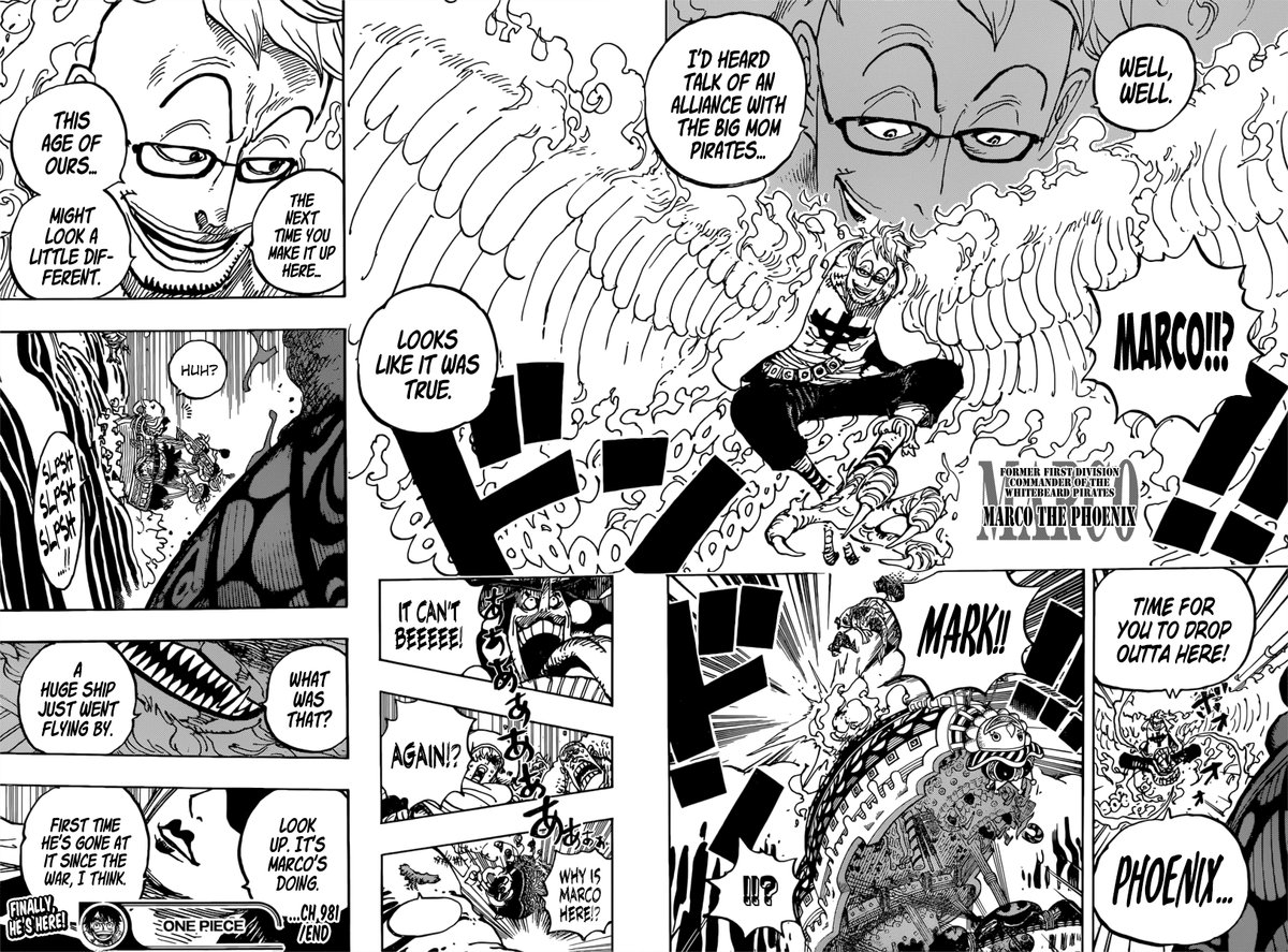 One Piece manga, chapter 981, page 19 of 22