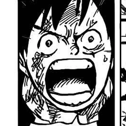 One Piece Chapter 988: Sorry for the Wait cover