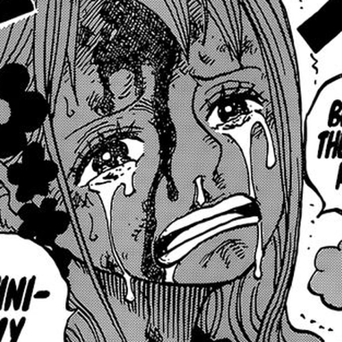 One Piece Chapter 995: A Kunoichi's Oath cover
