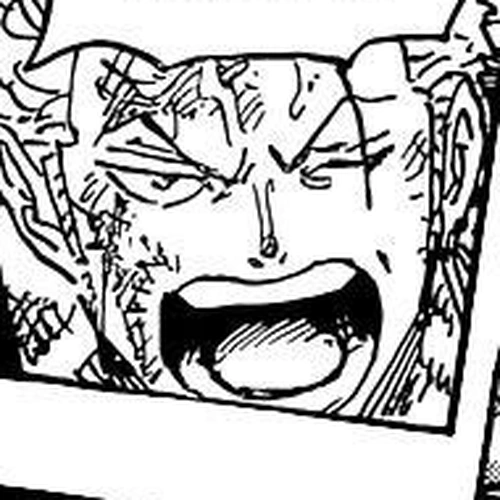One Piece Chapter 998: Ancient Types cover
