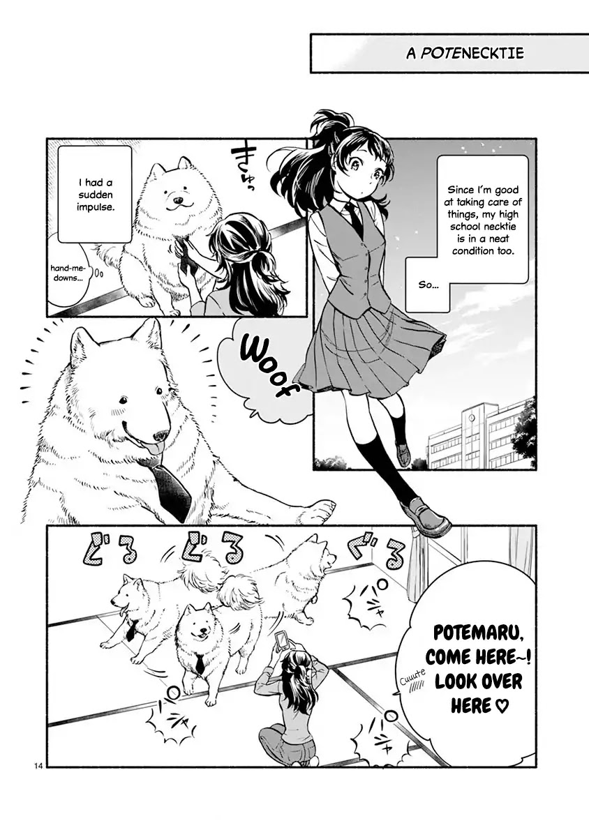 One-Room, Dog Chapter 1 page 18 - Chapter 1: One Room Doggy