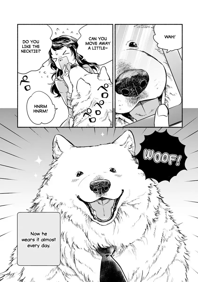One-Room, Dog Chapter 1 page 19 - Chapter 1: One Room Doggy