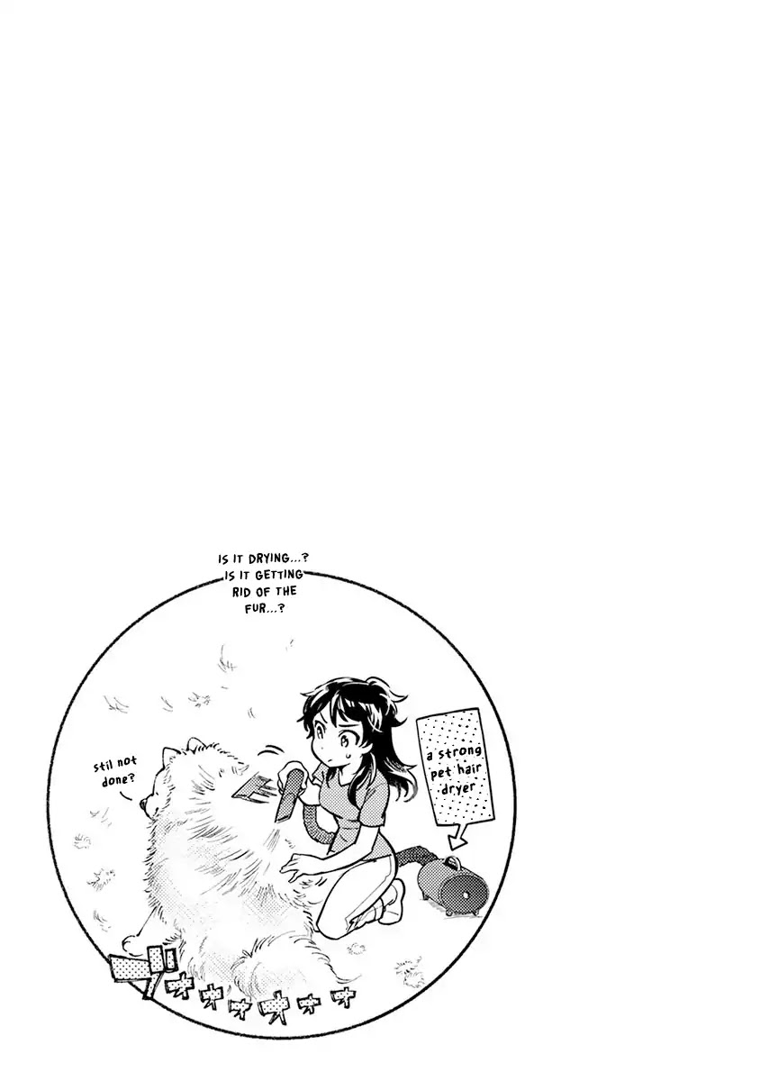 One-Room, Dog Chapter 1 page 31 - Chapter 1: One Room Doggy