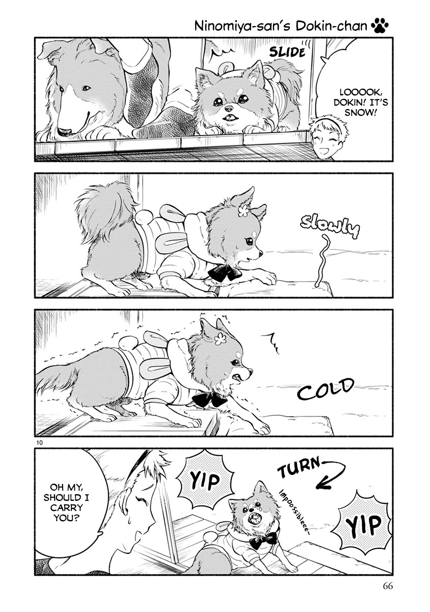 One-Room, Dog Chapter 10 page 9 - Chapter 10: First Snow Heights