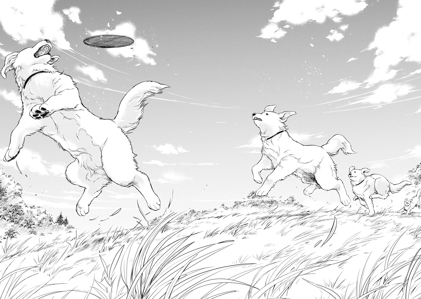 One-Room, Dog Chapter 11 page 16 - Chapter 11: HOP STEP JUMP
