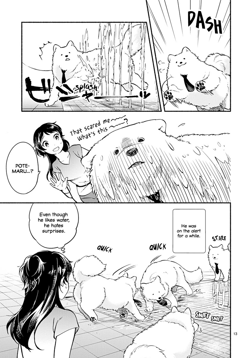 One-Room, Dog Chapter 13 page 17 - Chapter 13: Summer doggo