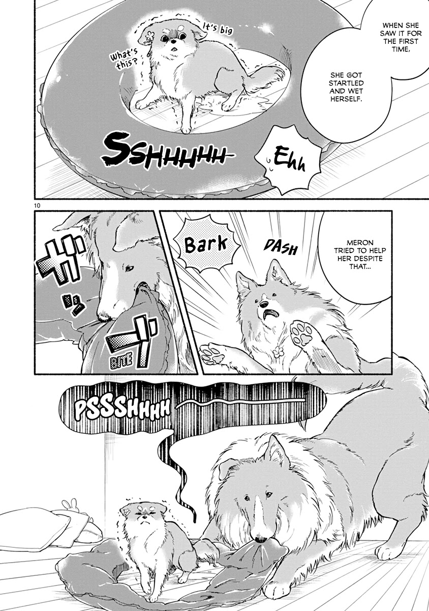 One-Room, Dog Chapter 14 page 12 - Chapter 14: Together during Summer vacation