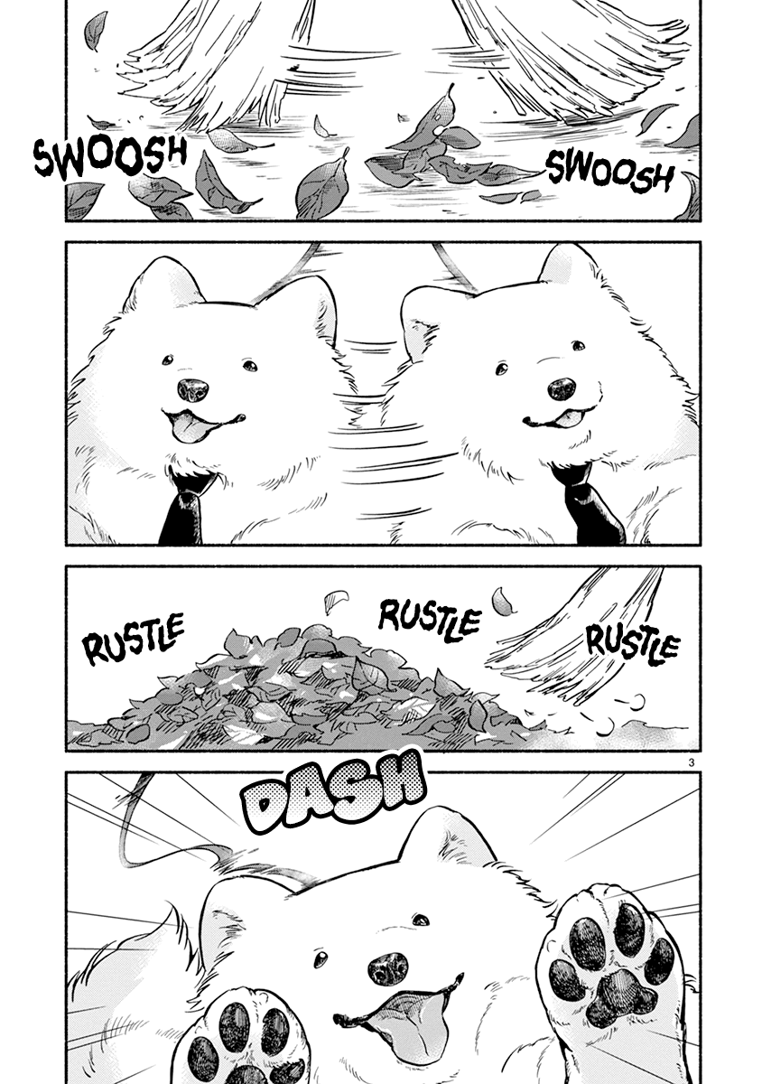 One-Room, Dog Chapter 16 page 5 - Chapter 16: A doggy’s heart and the clear autumn sky