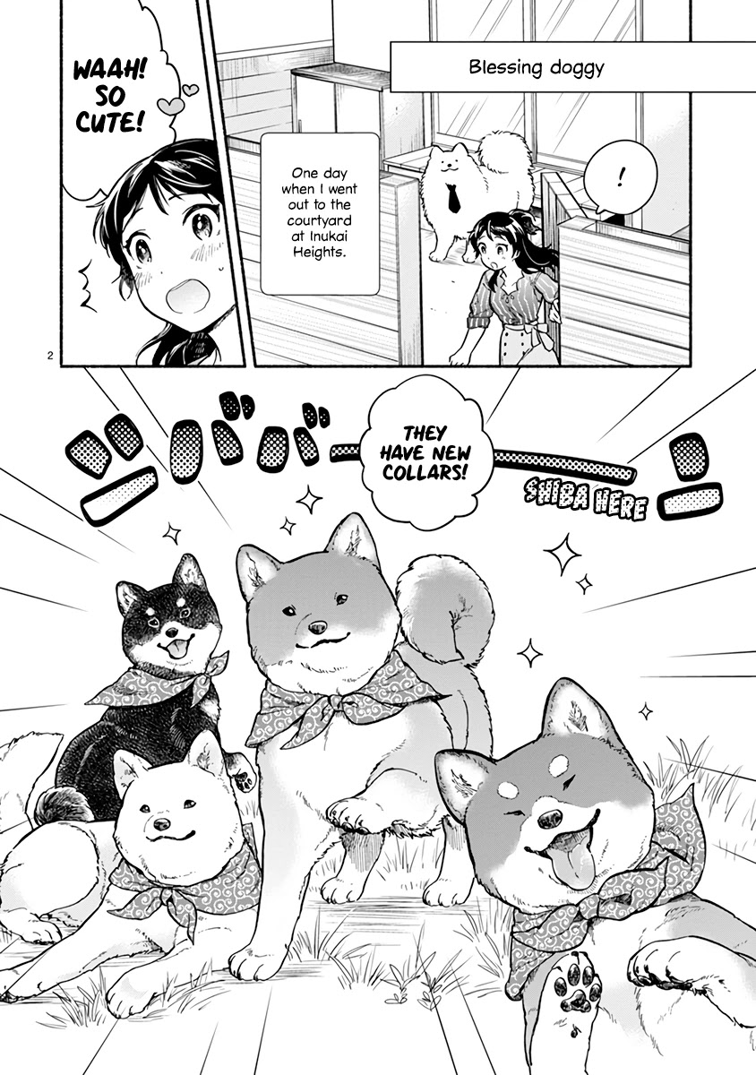 One-Room, Dog Chapter 17 page 2 - Chapter 17: Shiba Inu Family