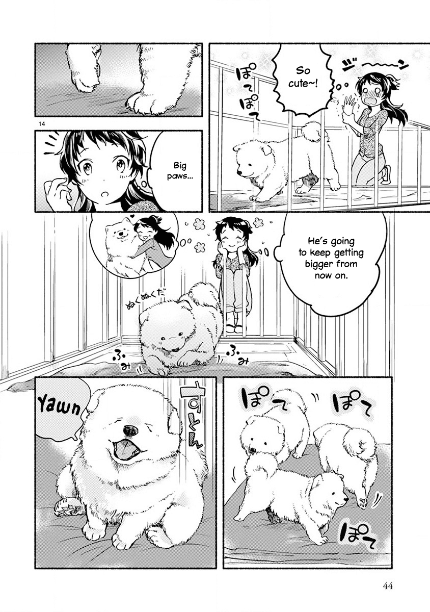 One-Room, Dog Chapter 2 page 14 - Chapter 2: No Doggy, No Life