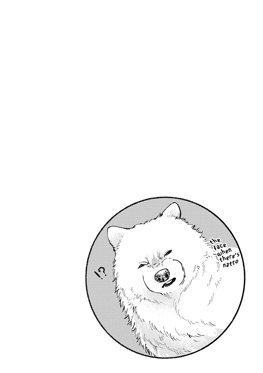 One-Room, Dog Chapter 5 page 17 - Chapter 5: Doggy lunch