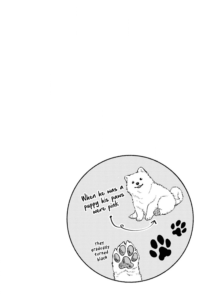 One-Room, Dog Chapter 6 page 20 - Chapter 6: Bonding through shedding fluff
