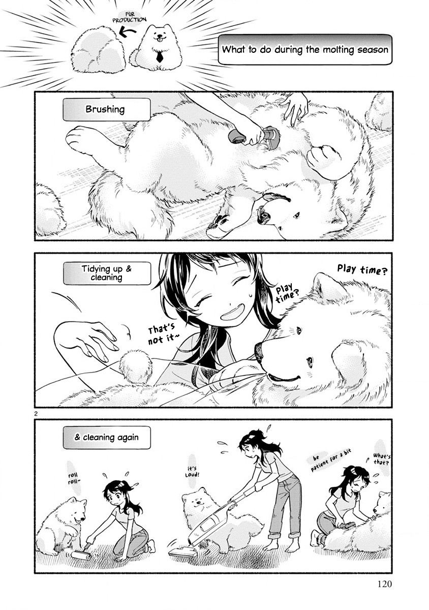 One-Room, Dog Chapter 6 page 4 - Chapter 6: Bonding through shedding fluff