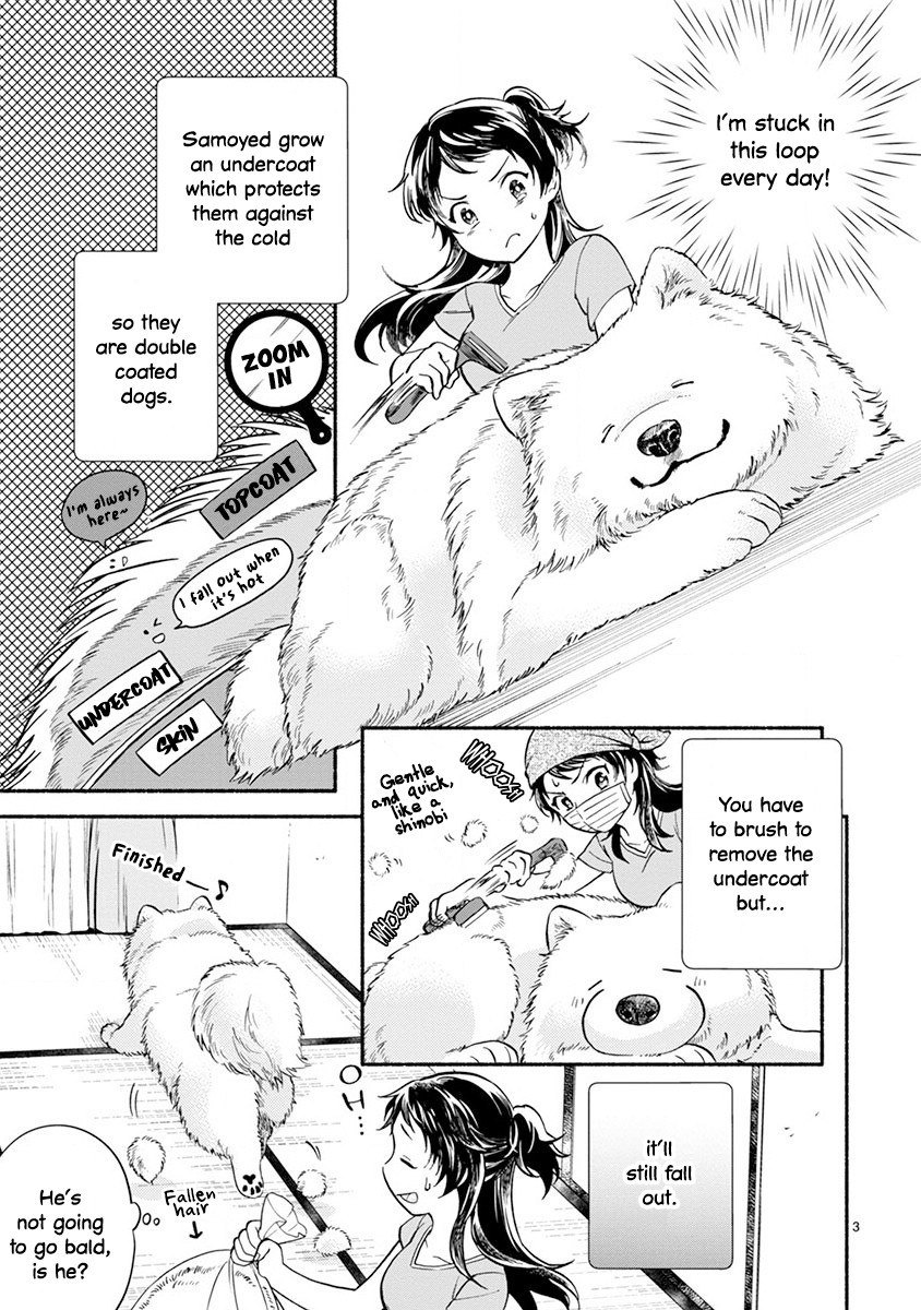 One-Room, Dog Chapter 6 page 5 - Chapter 6: Bonding through shedding fluff