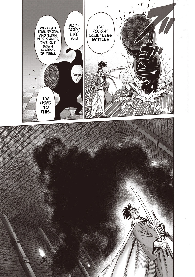 Onepunch-Man Chapter 106 page 28 - Chapter 106: Terrible Multiplying Bastard