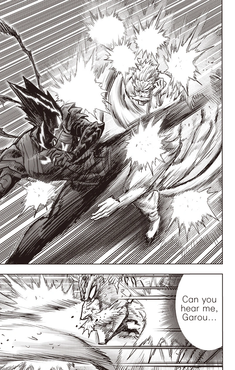 Onepunch-Man Chapter 150 page 25 - Chapter 150: Master and Disciple