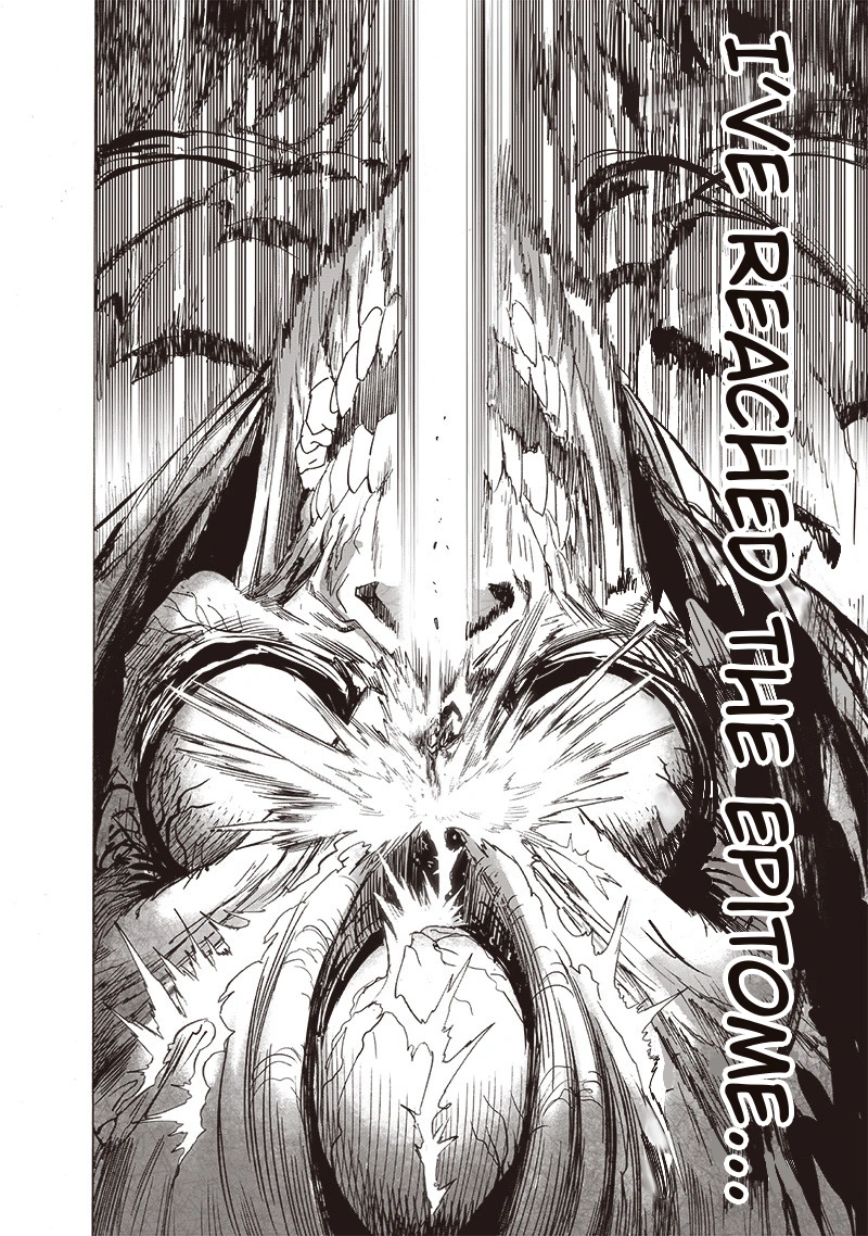 Onepunch-Man Chapter 159 page 17 - Chapter 159: Blessing