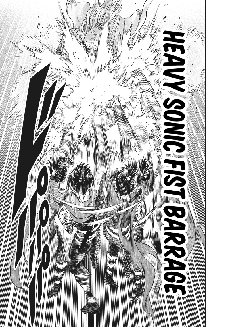 Onepunch-Man Chapter 198 page 14 - Chapter 198: The Way You Are Now