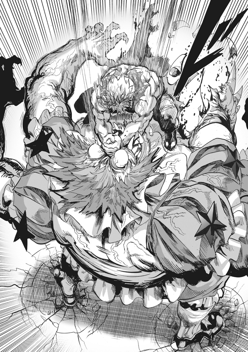 Onepunch-Man Chapter 217 page 13 - Chapter 217: A Stone