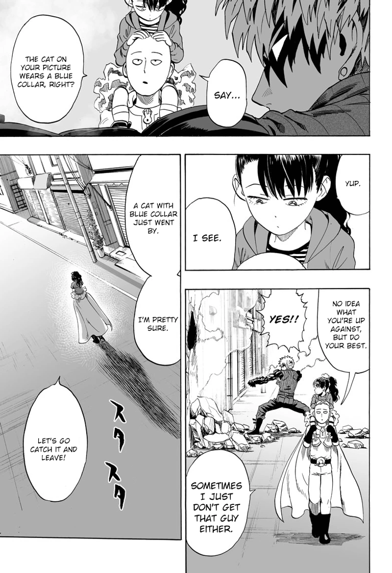 Onepunch-Man Chapter 40.6 page 17 - Chapter 40.6: Lost Cat | Volume 8 Extras