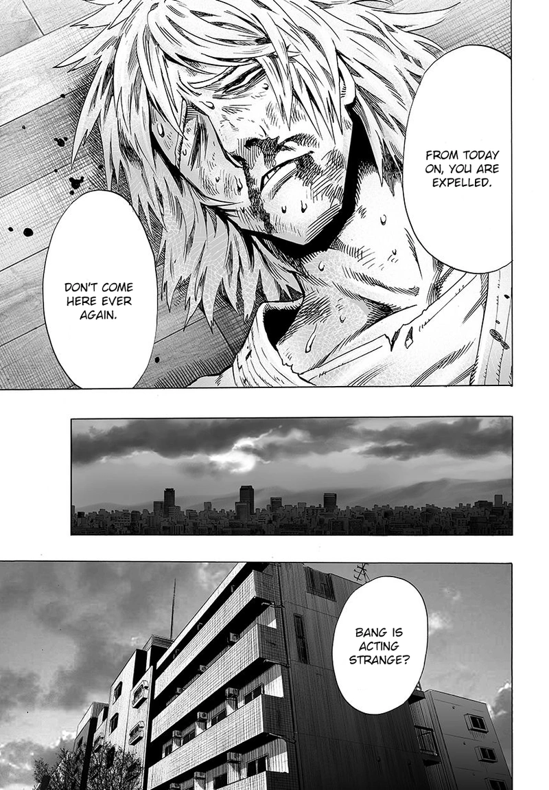 Onepunch-Man Chapter 46 page 3 - Chapter 46: Hero Hunt