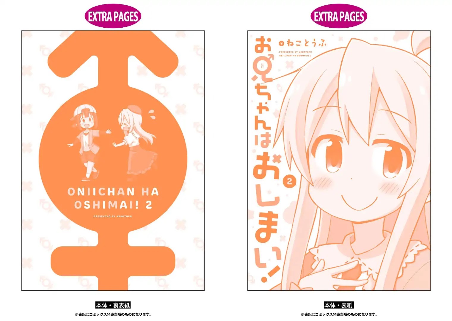Onii-chan is done for Chapter 20.9 page 14 - Chapter 20.9: Mini Extras