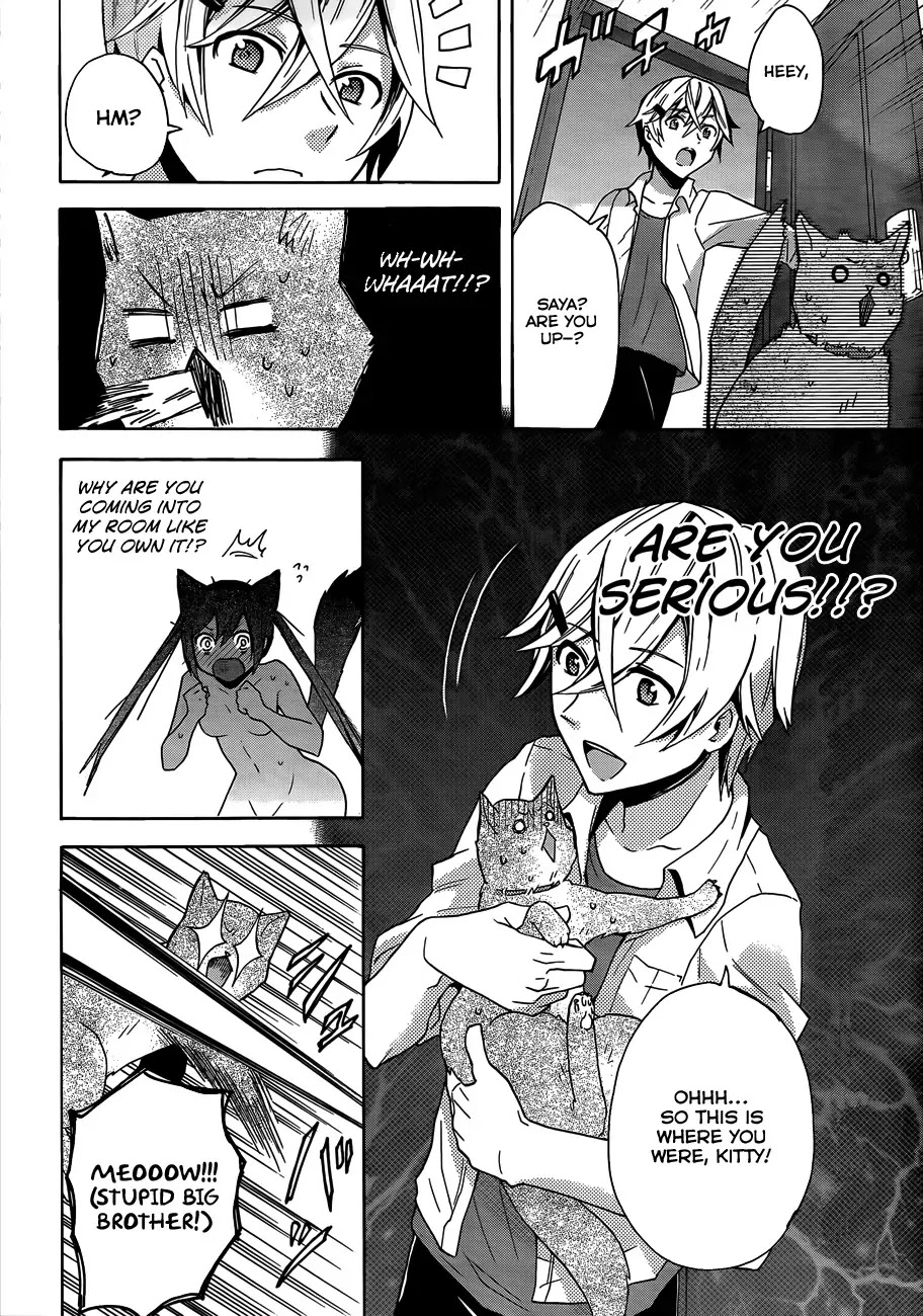 Oniichan no Koto ga Suki Sugite Nyan Nyan Shitai Burakon Imouto dakedo Sunao ni Narenai no Chapter 0 page 13 - Chapter 0