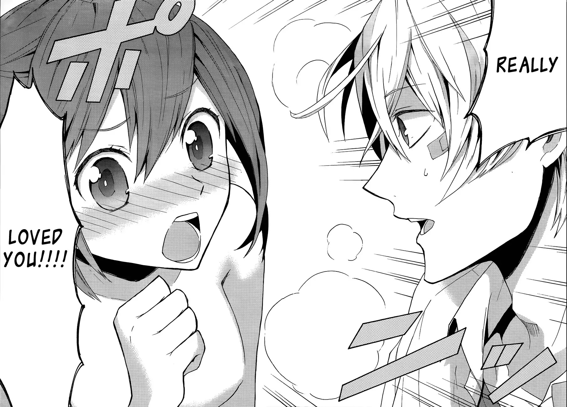 Oniichan no Koto ga Suki Sugite Nyan Nyan Shitai Burakon Imouto dakedo Sunao ni Narenai no Chapter 0 page 23 - Chapter 0