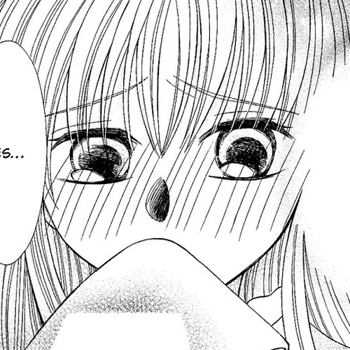 Ookami-heika no Hanayome Chapter 2 cover
