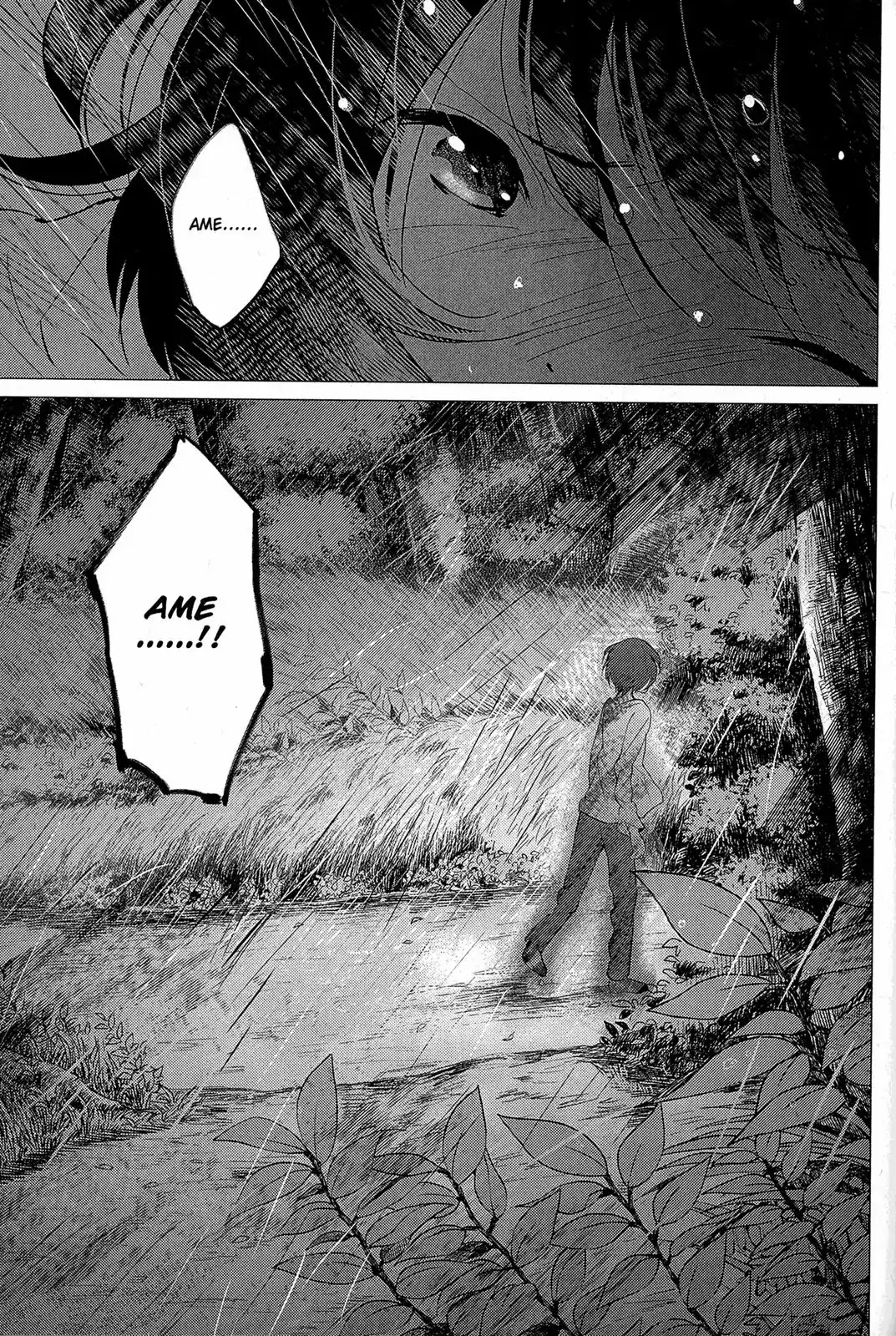 Ookami Kodomo no Ame to Yuki Chapter 13 page 21 - Chapter 13: After the Clouds