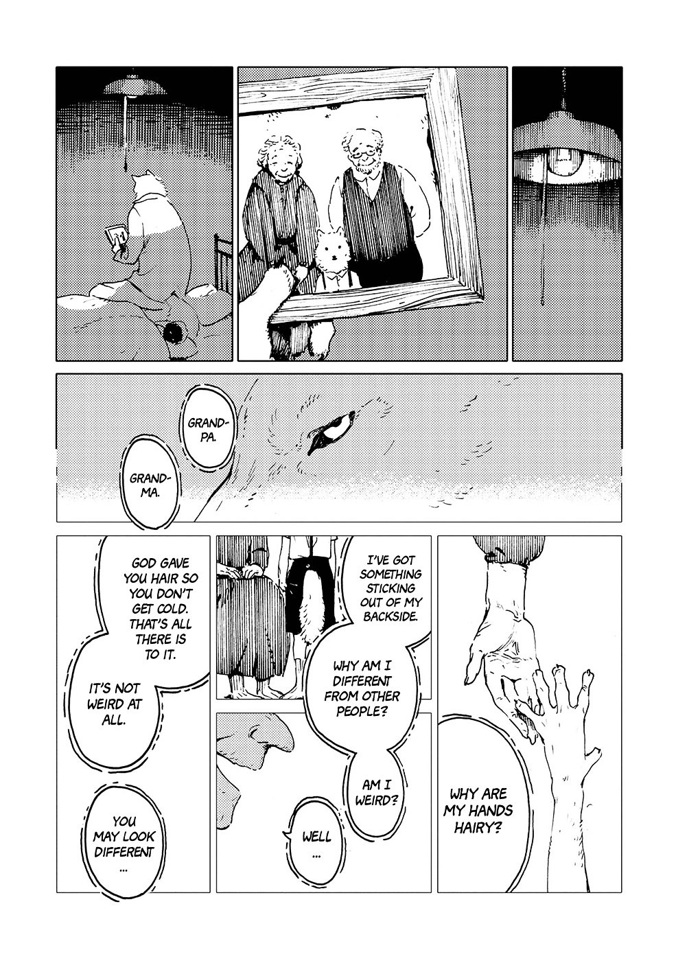 Ookami Ningen to Ningen Ookami Chapter 0 page 17 - Chapter Oneshot