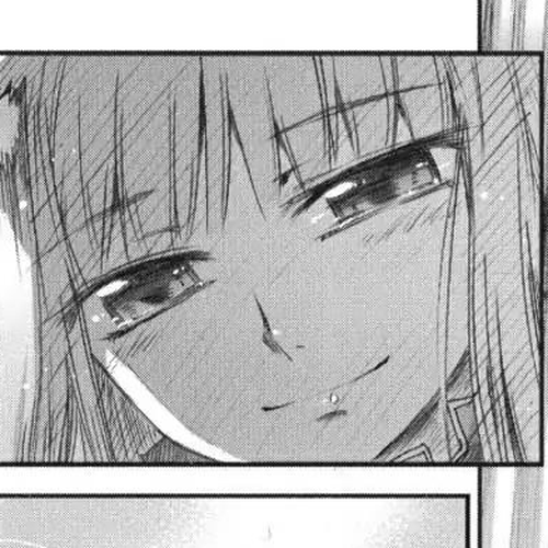 Ookami to Koushinryou Chapter 14 cover