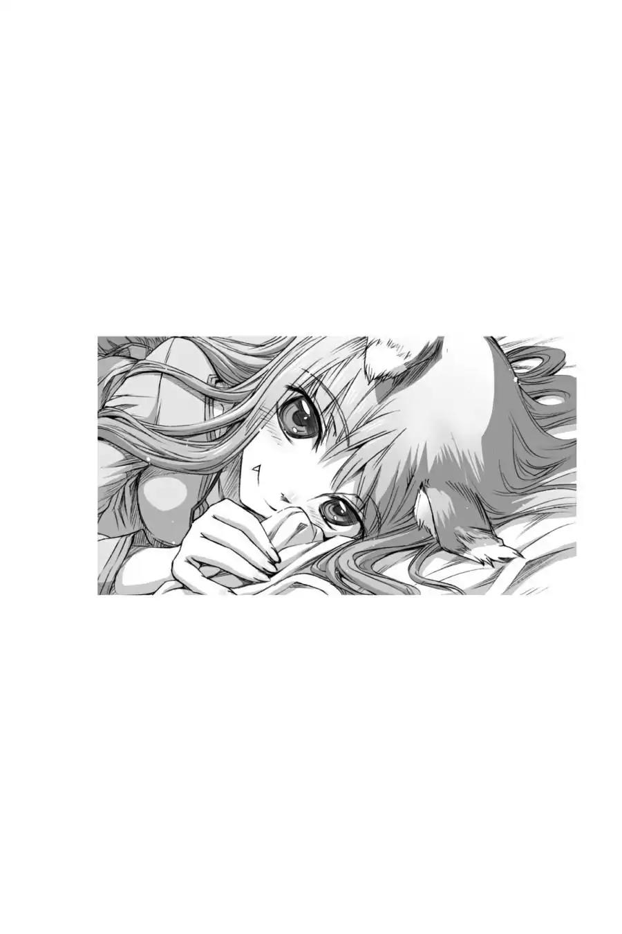 Ookami to Koushinryou Chapter 27 page 27 - Chapter 27