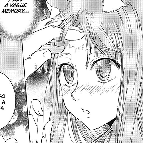 Ookami to Koushinryou Chapter 35.5 cover